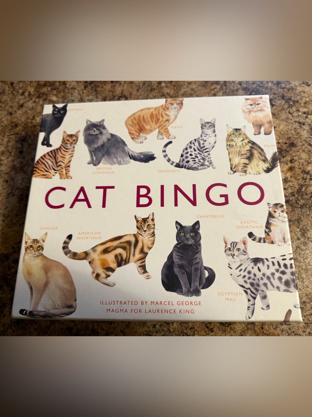 Cat Bingo Game